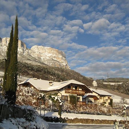 Gfillhof Ferienwohnung 3 Appiano Sulla Strada Del Vino Esterno foto