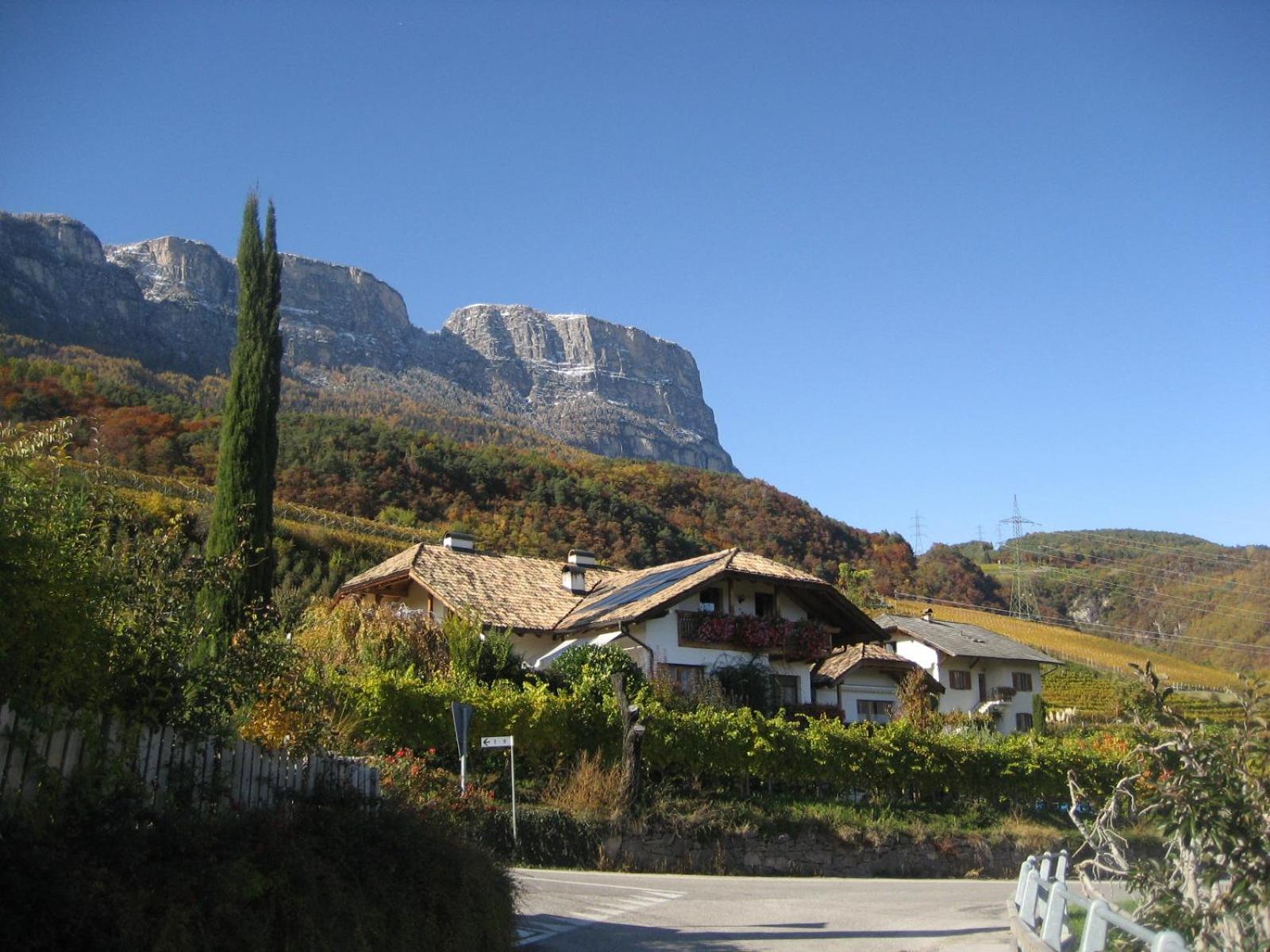 Gfillhof Ferienwohnung 3 Appiano Sulla Strada Del Vino Esterno foto