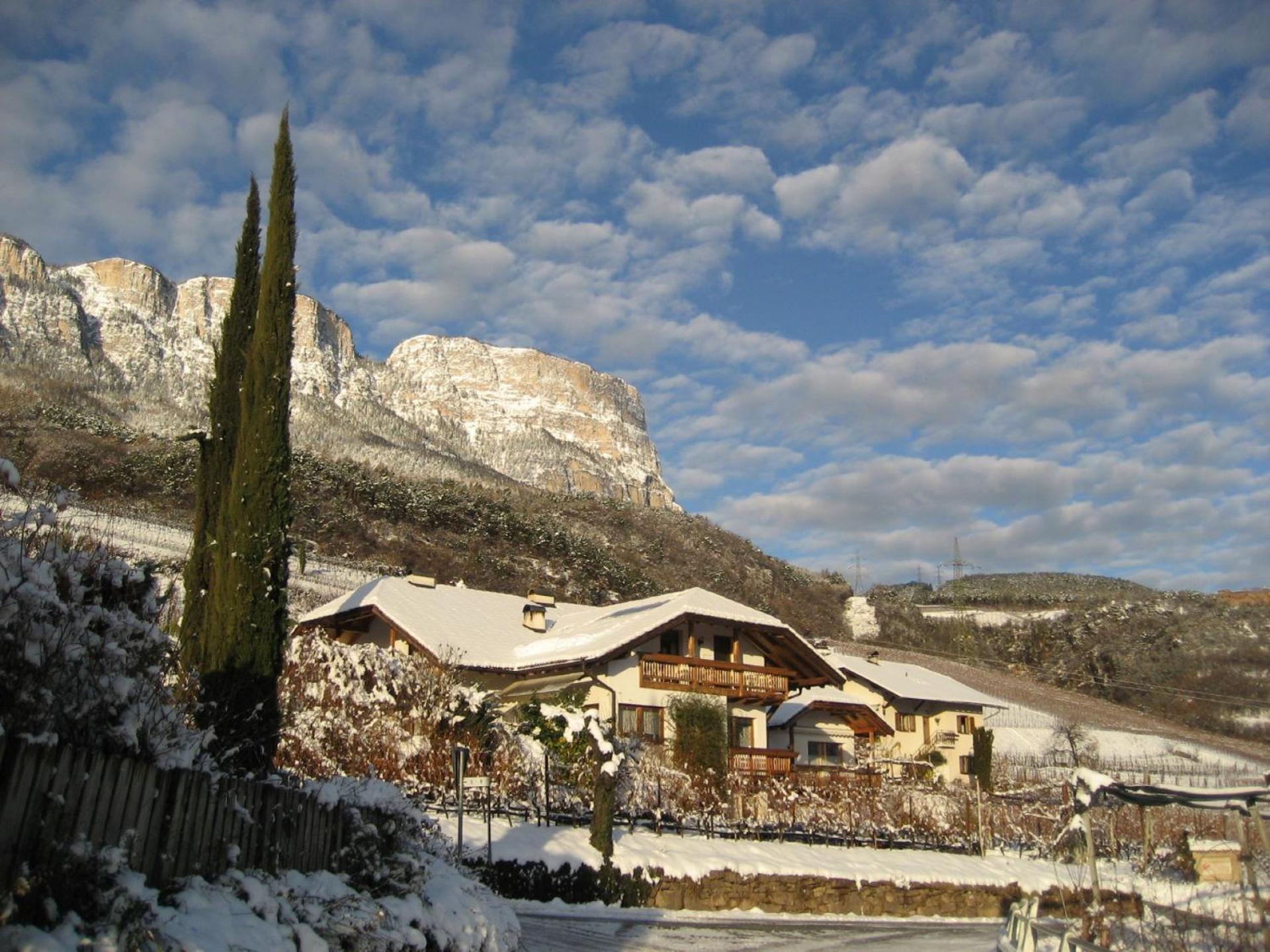 Gfillhof Ferienwohnung 3 Appiano Sulla Strada Del Vino Esterno foto